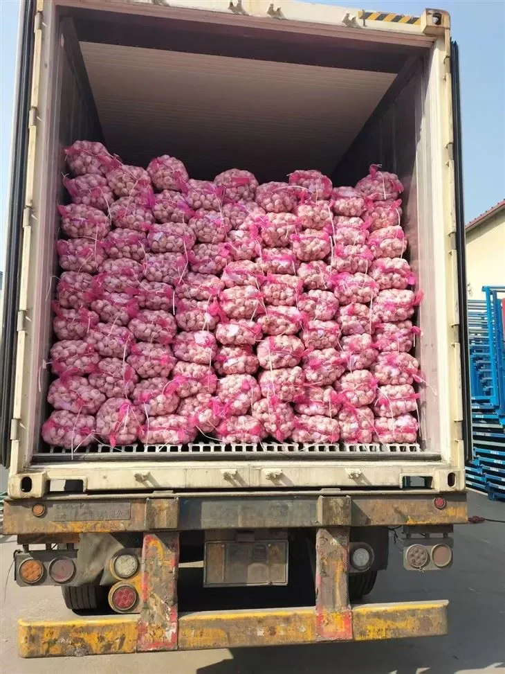 Güzel karışım sarımsak